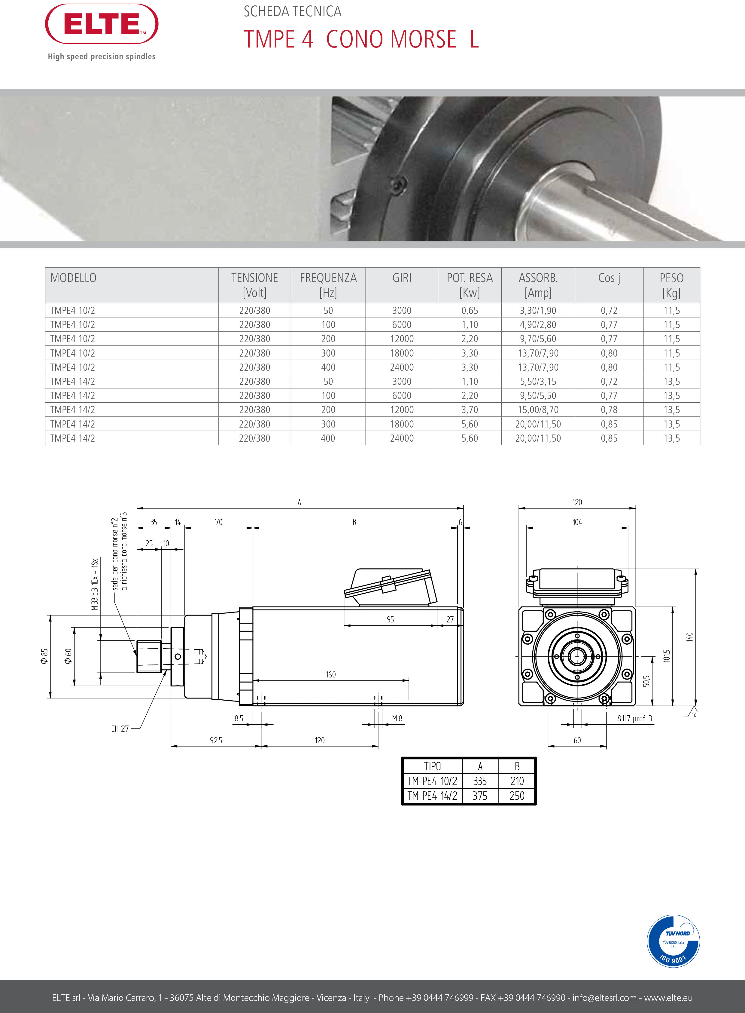 TMPE4_CONO-MORSE-L.jpg